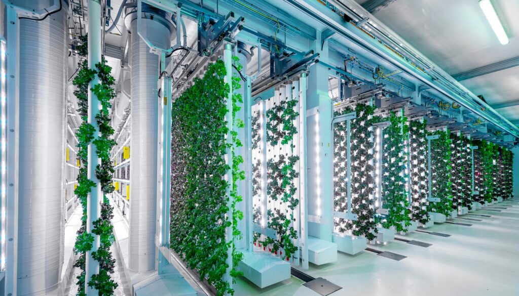 Vertical farming industrin (1)